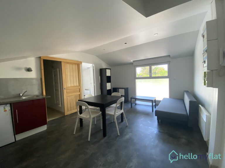Charmant appartement type 1 bis avec parking - Quartier Clémenceau !